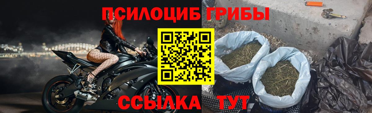 Галлюциногенные грибы Magic Shrooms Белгород